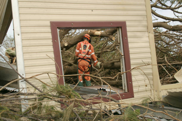 Best Seasonal Cleanup (Spring/Fall)  in Sidy, NE